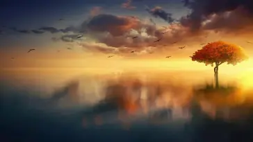 Tree in Water live wallpaper download