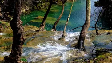 Spring River Flowing live wallpaper download