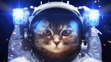 Spacecat live wallpaper download