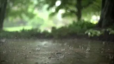 Raining live wallpaper download