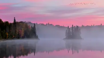 Foggy Lake live wallpaper download