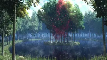 Lake in Forest live wallpaper download