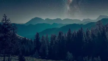Forest Starry Night live wallpaper download