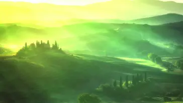 Green Fields live wallpaper download