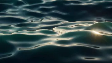 Flecks Sun on Water live wallpaper download