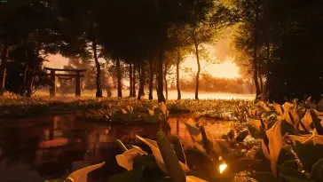 Marshland live wallpaper download