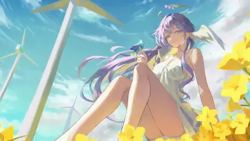 Robin in the Flower Field live wallpaper download