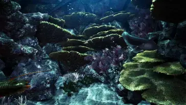 Reef Aquarium live wallpaper download