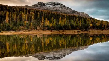 Autumn Lake live wallpaper download