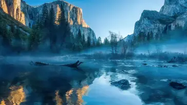 Misty Blue Lake live wallpaper download