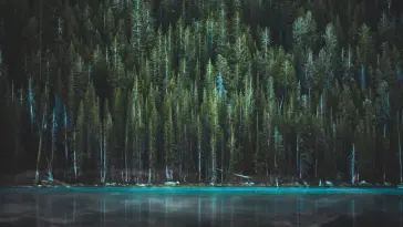 Blue Lake Near Pine Trees animated wallpaper download