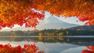 Mountain Landscape in Autumn live wallpaper download