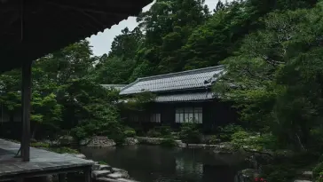 Japanese Temple by Rainy Pond live wallpaper download