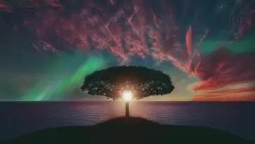 Tree Basking in the Sun's Warmth live wallpaper download