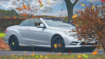 Autumn Drive With Mercedes-Benz live wallpaper download