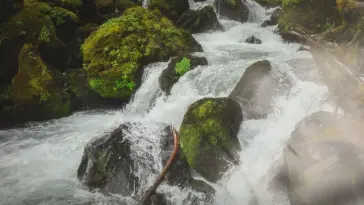 Rushing Waterfall live wallpaper download
