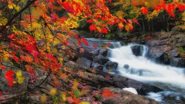 Waterfall in Autumn live wallpaper download