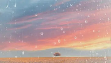 Nature's Embrace live wallpaper download